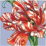 (image for) Striped Parrot Tulip Big Stitch